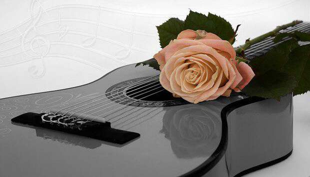 Анонс/ фото: pixabay.com
