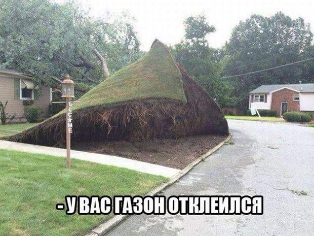 Забавная подборка классных фотографий и смешных картинок с надписями
