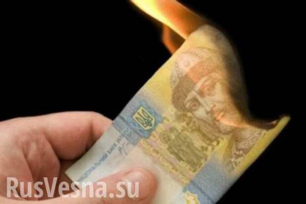 Украинский экономист: гривну не спасут даже радикальные меры | Русская весна