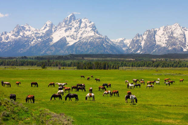 grand-teton-national-park (700x468, 403Kb)