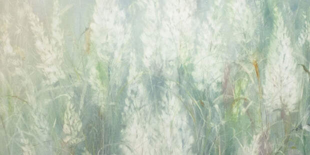 Цветы надежды: что посмотреть на выставке «Травы» в Postrigay Gallery