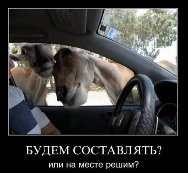 Самые смешные демотиваторы только у нас!