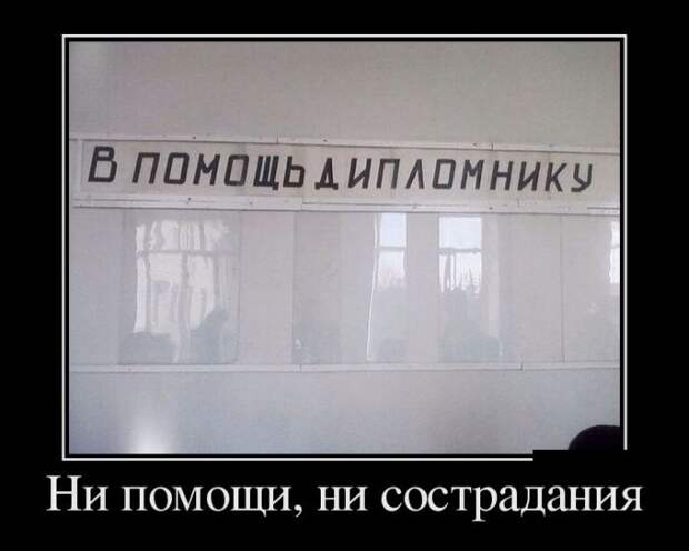 Демотиваторы дня от 8-11-2014 Демотиваторы дня от 8-11-2014