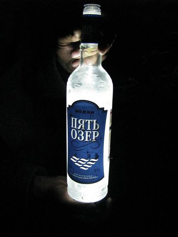 Отпуск в лесу