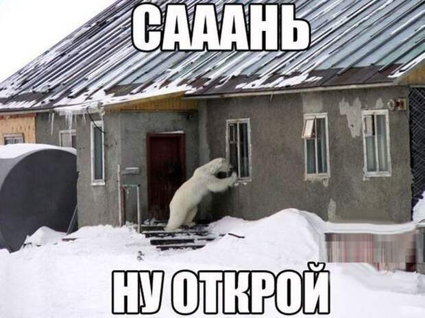 Такое возможно только в России маразмы, россия, юмор