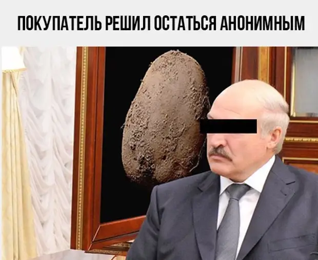 Картинки лукашенко и картошка