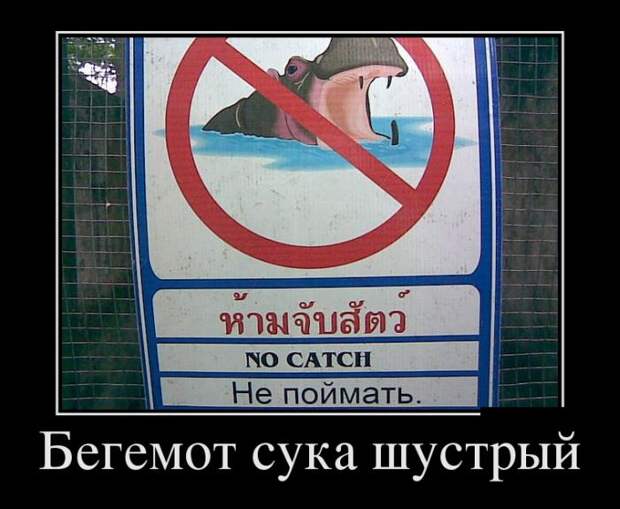 Демотиваторы (30 фото)
