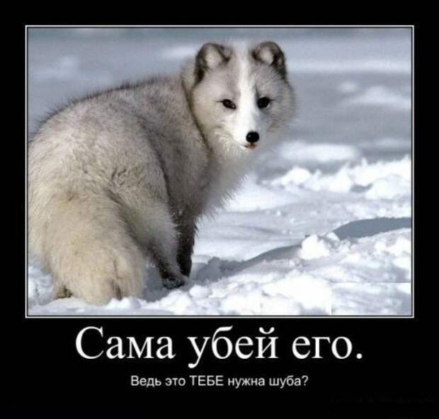Правдивые демотиваторы