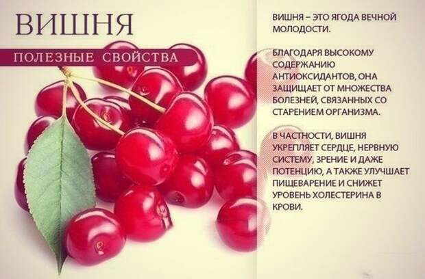 9 самых полезных продуктов для всего организма