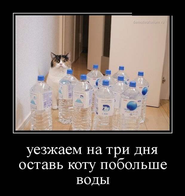 Демотиваторы  демотиваторы, прикол, смех, юмор