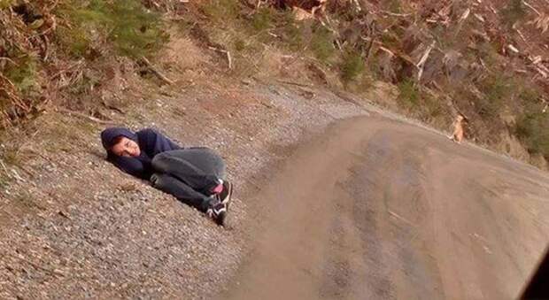 Как спасти озлобленную и одинокую бродячую собаку Как спасти озлобленную и одинокую бродячую собаку