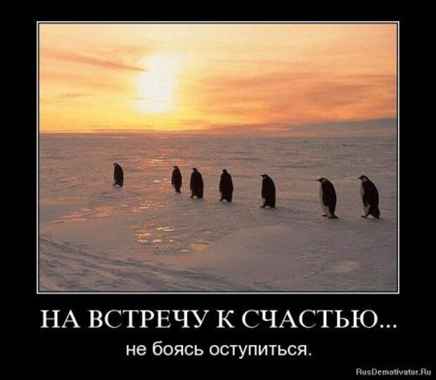 Красивые демотиваторы со смыслом.