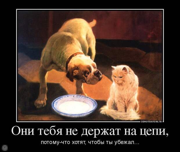 Бабье лето прошло! 13