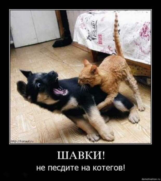 Демки прикольные