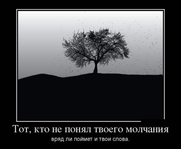 Демотиваторы (30 фото)
