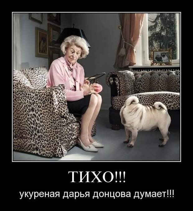 Демотиваторы (133 картинки)