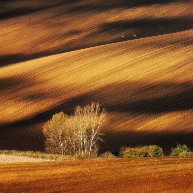 12 невероятных фотографий без грамма Фотошопа