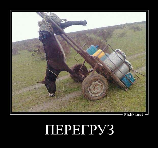 Демотиваторы демотиваторы