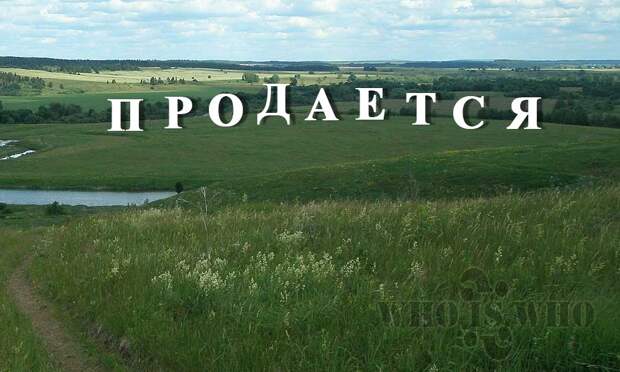 Экономика и финансы: Смерть украинского села