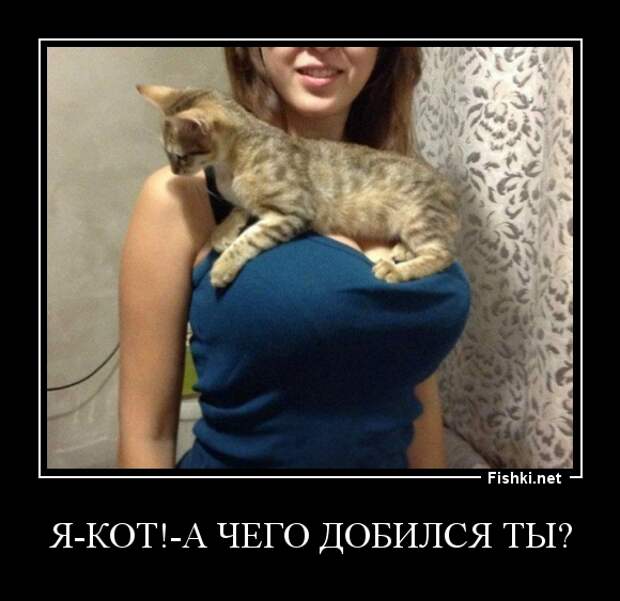 Демотиваторы демотиваторы, прикол, смех, юмор