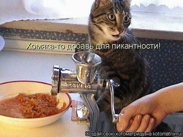 3573123_getImage_22 (600x450, 62Kb)