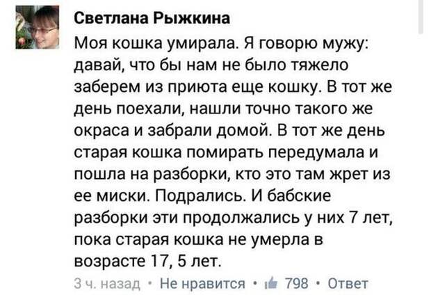 Подборка прикольных фото №1111 (99 фото) Подборка прикольных фото №1111 (99 фото)