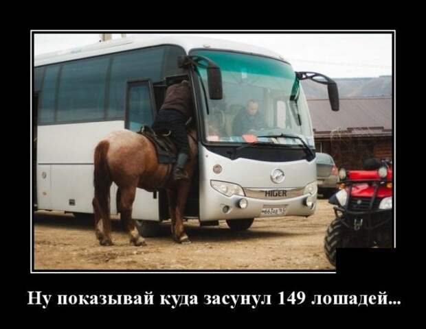 ДЕМОТИВАТОР+