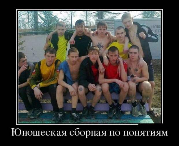 Подборка  демотиваторов демотиваторы, юмор