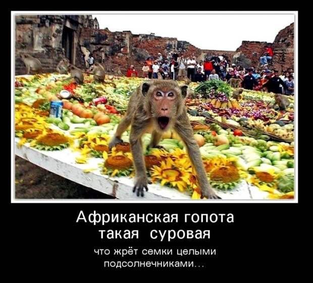 Демотиваторы (30 фото)