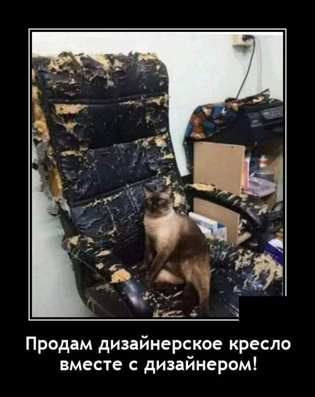 Демотиваторы 13 августа 2021 года