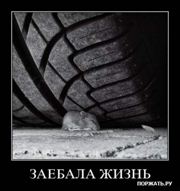 Демотиваторы по русски, очень остроумно.