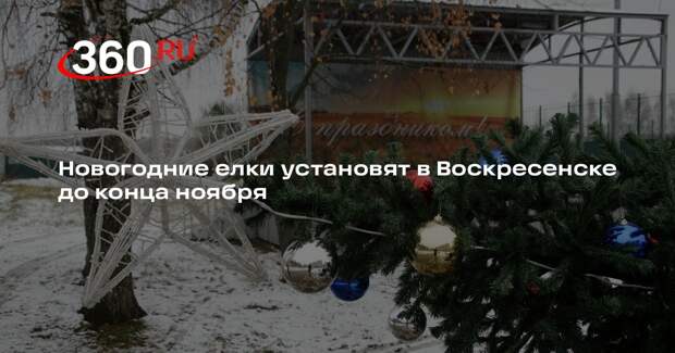 Новогодние елки установят в Воскресенске до конца ноября