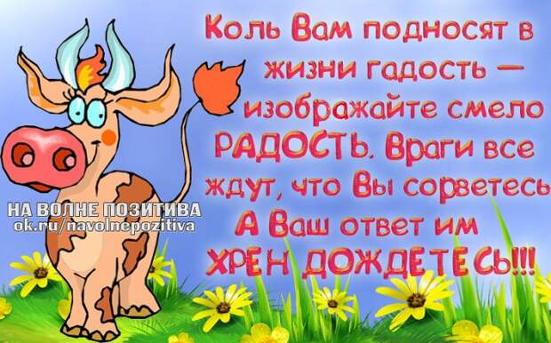 Статусы в картинках с Одноклассников "На волне позитива" (47 картинок)