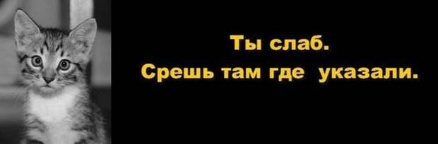 Прикольные картинки Прикольные картинки