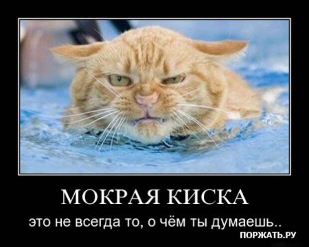 демотиваторы картинки