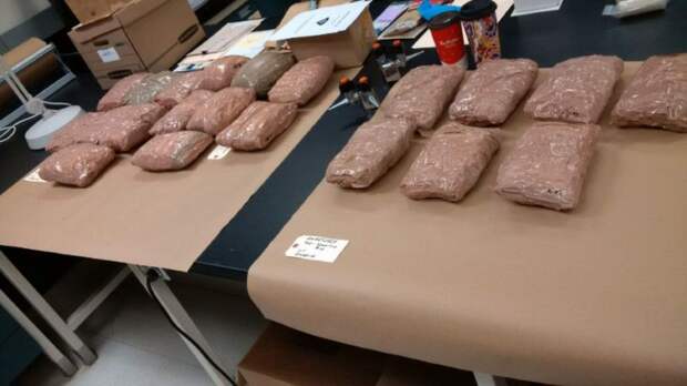 В Канаду ввезли метамфетамин в запасках новых Ford, собранных в Мексике