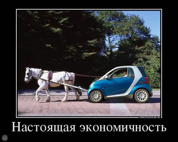 Деградируй правильно! 24