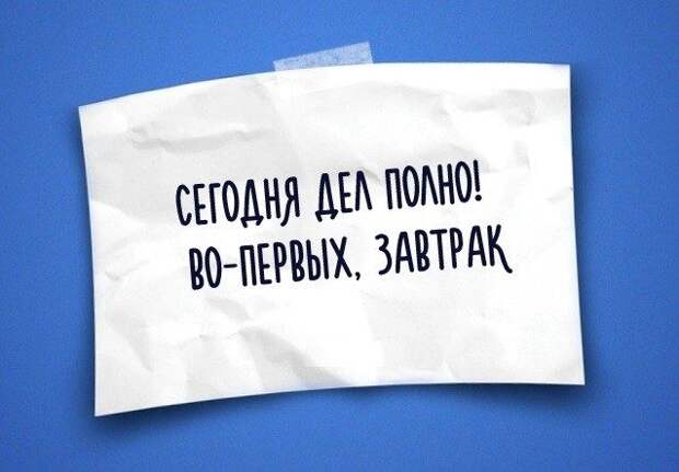 Юмор жизни в одностишьях
