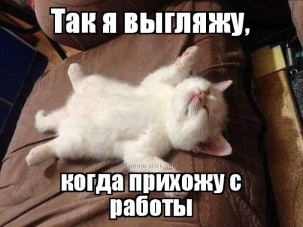 Прикольные картинки на Бугаге (49 шт)