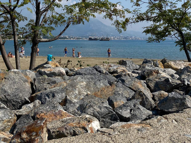 Безалкогольные поездки назвали главным трендом 2026 года