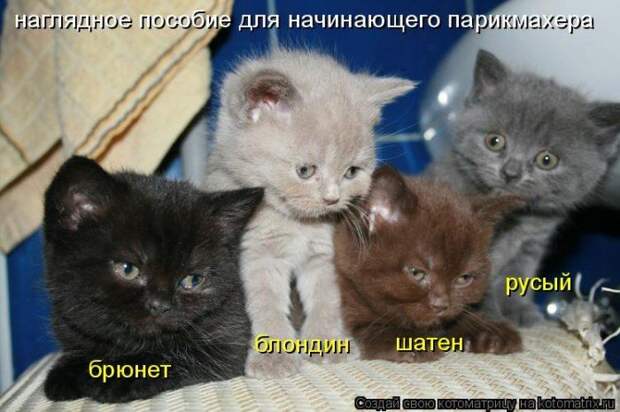 Мысли вслух :)