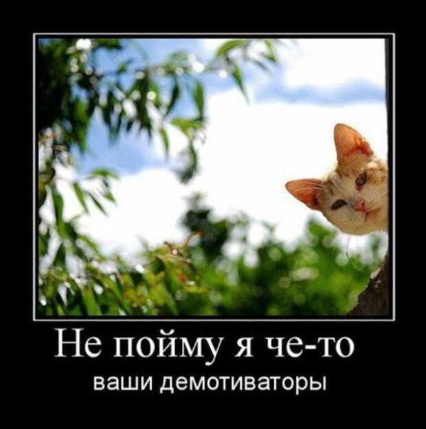 Демотиваторы картинки смешно и новые.