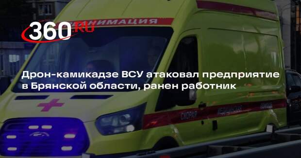 Дрон-камикадзе ВСУ атаковал предприятие в Брянской области, ранен работник