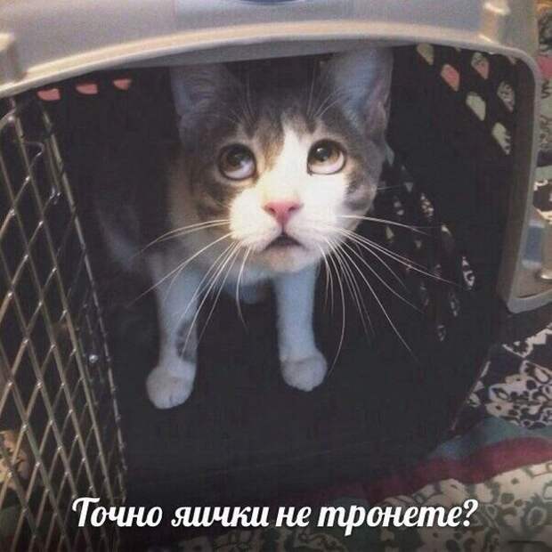 ПОДБОРКА ФОТОПРИКОЛОВ ПОДБОРКА ФОТОПРИКОЛОВ