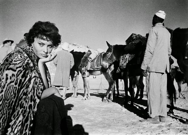 Sophia Loren
