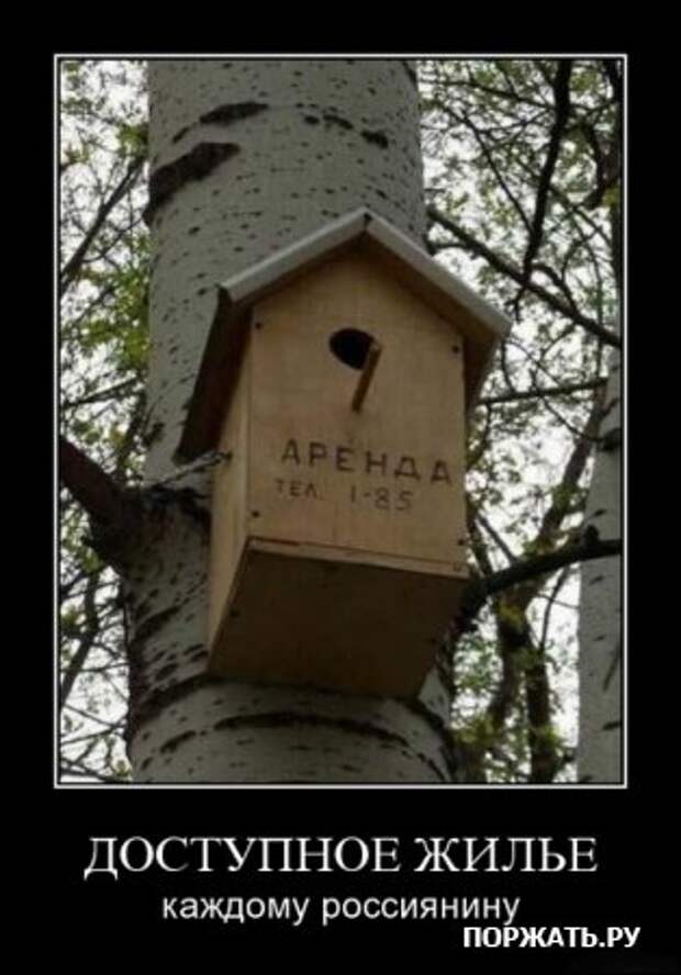 Демотиваторы по русски и по свежее