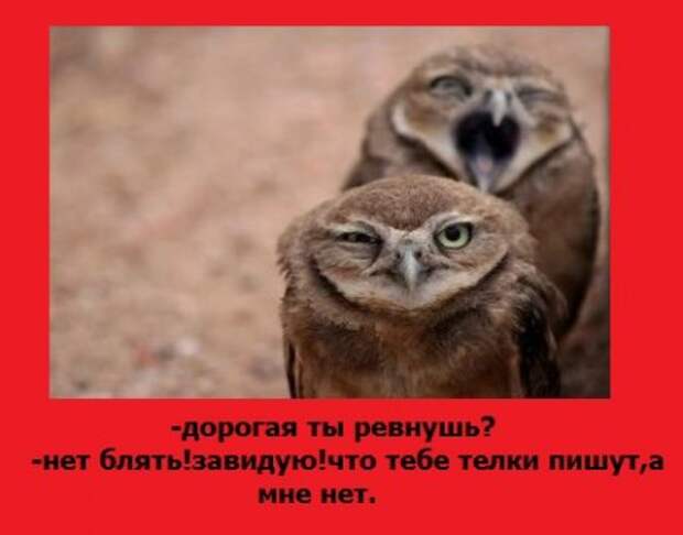 Мои любимые!