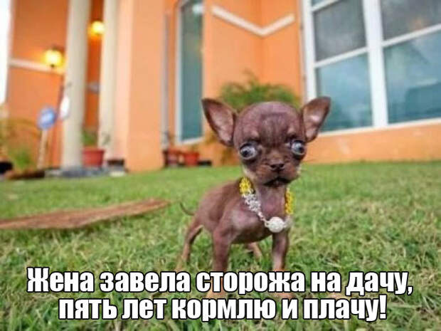 Прикольные картинки. Вечерний выпуск (54 фото)