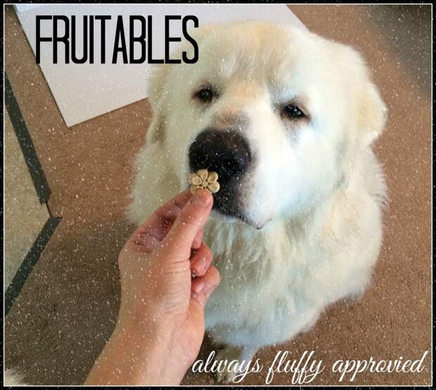 Great Pyrenees - Fruitables