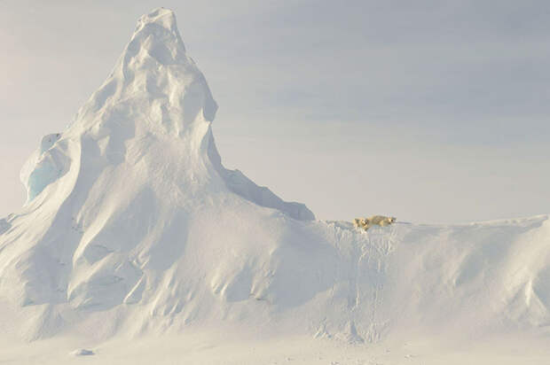 national-geographic-travel-photographer-of-the-year-2016-winners-6-577b5b35ec7b4__880